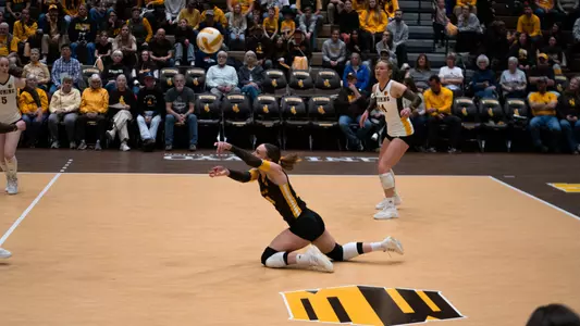 Erickson_Dig_UNM