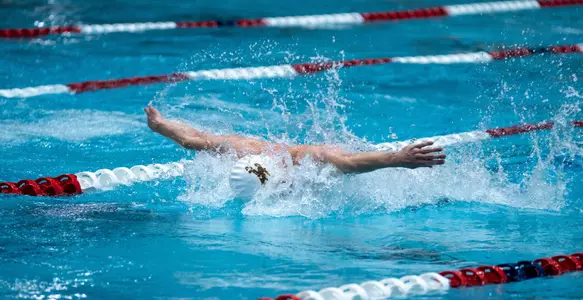 Gavin Smith - WAC Championships