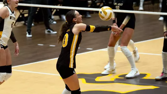Erickson_LBSU