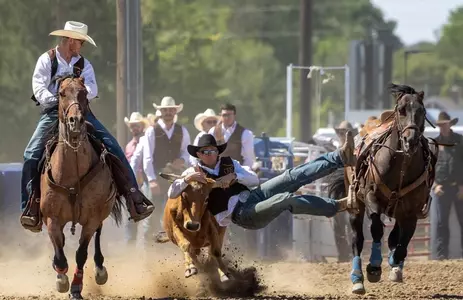 Wyoming rodeo at season opner