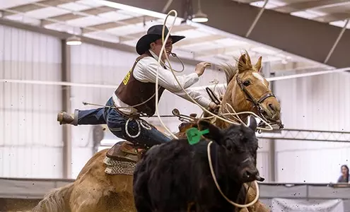 Wyoming Rodeo in action during the spring season in 2026