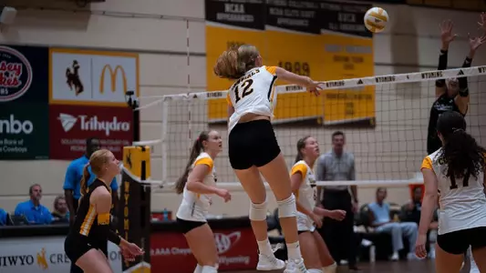 Thorington Attack UCSB