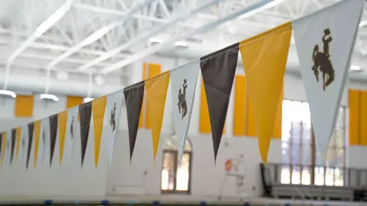 Lane line flags at the new Wyoming Aquatic Center