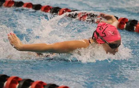 YSU Concludes Homestand Against Saint Francis (Pa.) Image