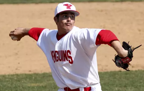 Wild Pitches Crusaders to Win Over Baseball Image