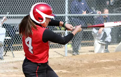 Gabel's Walk-Off Single Gives Softball Game One Win, Sweep of Saint Francis (Pa.) Image