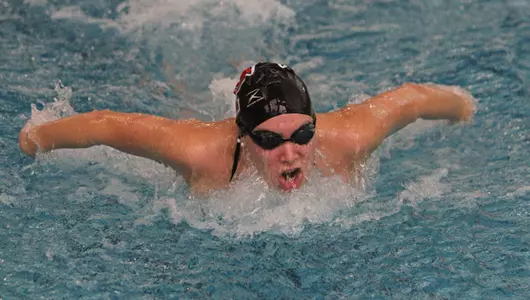 Penguins Have Impressive Start to Dual Slate Against Niagara Image