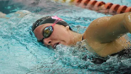 Penguins Set School Marks in Relays at HL Championships Image