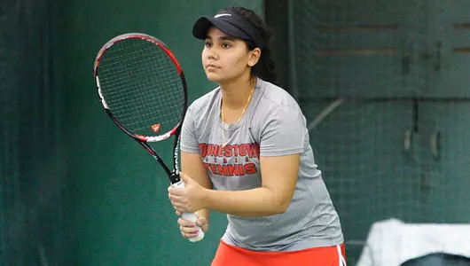 Penguins Cruise Past Valparaiso on Friday Afternoon Image