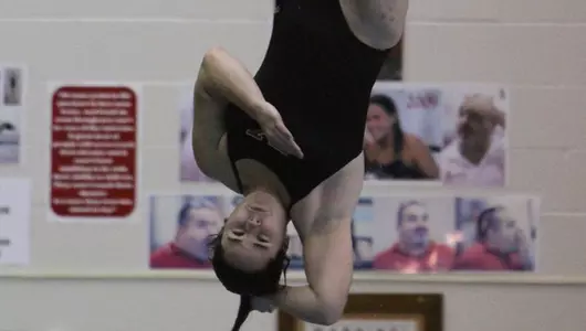 YSU Divers Entertain Clarion In Dual Meet Image