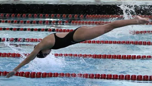 Program CSCAA Scholar All-America Team For Fall Academic Performance Image