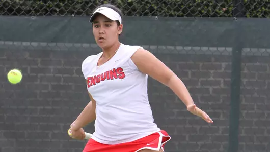 YSU Opens Horizon League Play With 6-1 Win At Wright State Image