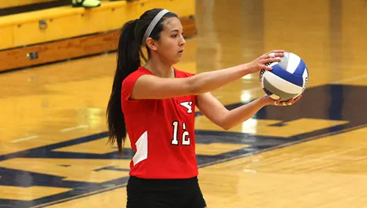 Penguins Beat Canisius in Four Sets on Monday Afternoon Image