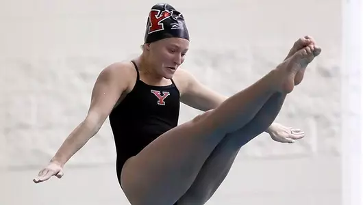 Penguins Visit Ohio For Dual Meet; Stafford Wins One-Meter Image