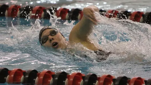 Penguins Continue Action At Horizon League Championships Image