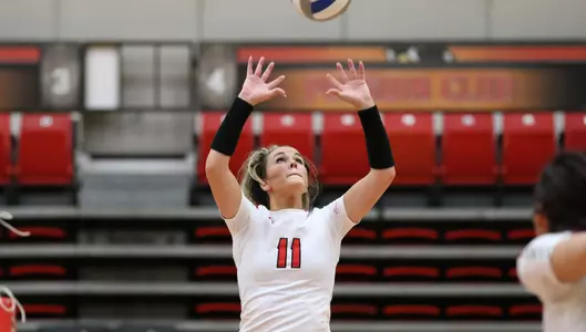 Volleyball Suffers First Two Defeats of 2017 Image