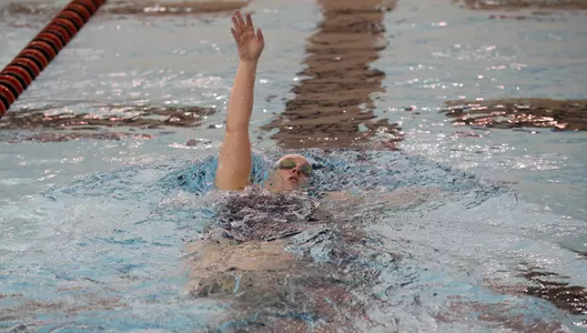 Penguins Visit Toledo For Dual on Saturday Image