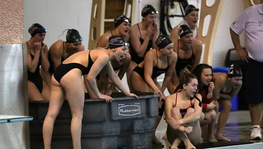 2017-18 Swimming and Diving Season In Review Image