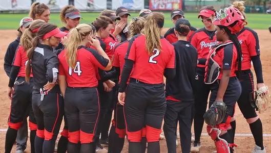 Softball Opens 2019 Campaign at Spartan Classic Friday Image