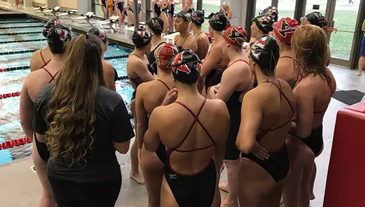 CSCAA Recognizes Youngstown State for Academics Image
