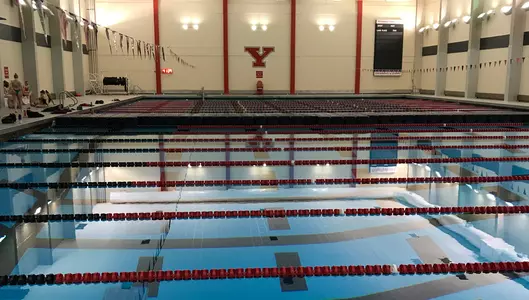 Men's Swimming & Diving Program Seeking Potential Student-Athletes Image