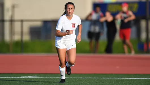 Penguins Drop Exhibition Match to Ohio Image