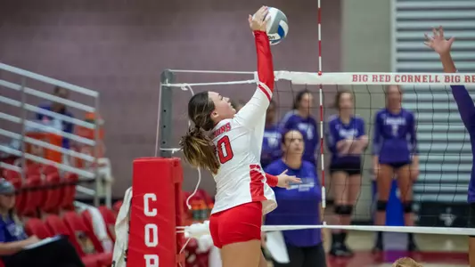 Penguins Fall Twice at Towson Invitational Image