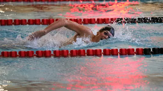 Penguins Break Six Records on Final Day of HL Championships Image