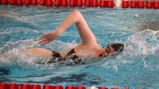YSU Heads to Horizon League Swimming Championships Image
