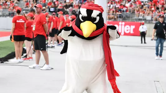 Pete the Penguin