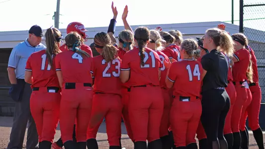 Softball Home Run Celebration