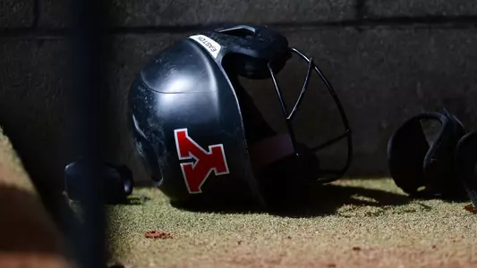 Softball Helmet