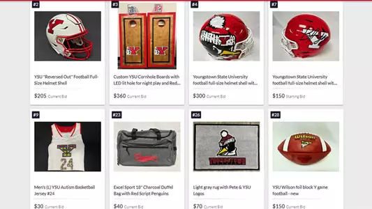 2024 Jamboree Auction