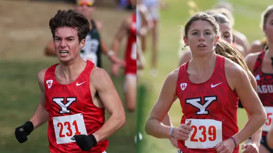 Cross Country Regionals Preview