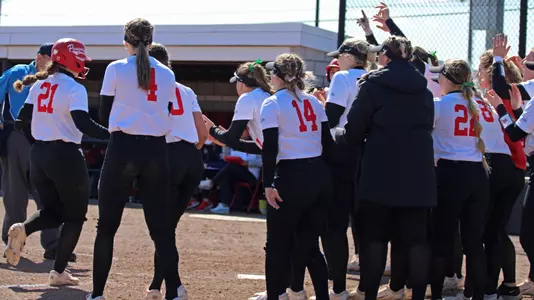 Softball Home Run Celebration