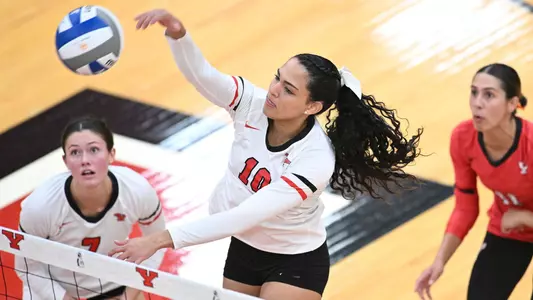 Youngstown State Volleyball vs. Mercyhurst (Sept. 24, 2024). Photo by Robert Hayes
