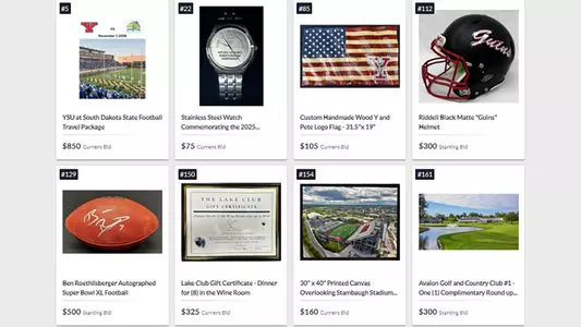 2025 SES Engineering Penguin Club Auction Items