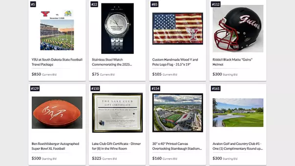 2025 SES Engineering Penguin Club Auction Items