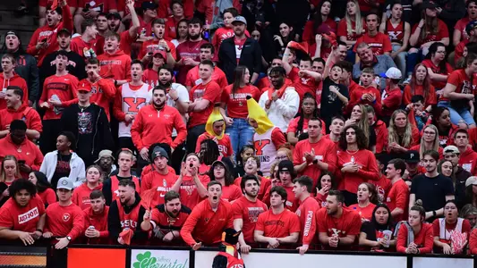 Basketball Crowd