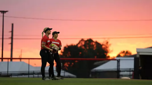 Softball Dusk
