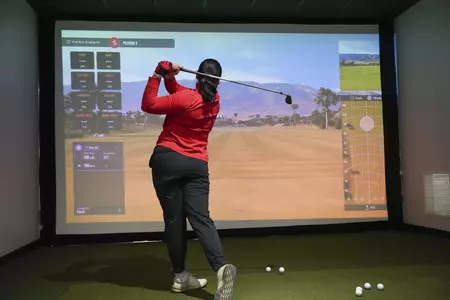 Golf Simulator - Watson and Tressel Training Site