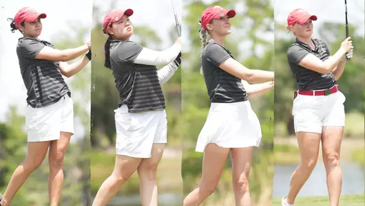 WGCA All-American Scholars 2024-25