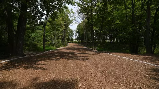 Gorby Family Championship XC Course