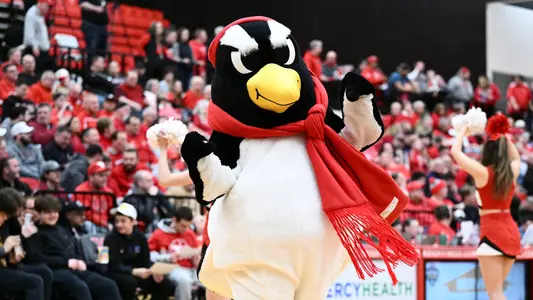 Pete the Penguin - Penguins NIL