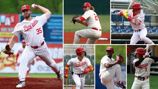 Collage of action photos of YSU Baseball's 2026 All-Horizon League selections - Braden Gebhardt, Jack Messmore, Brady Shannon, Alex Jang, Bryce Palms and Misael Uriepero