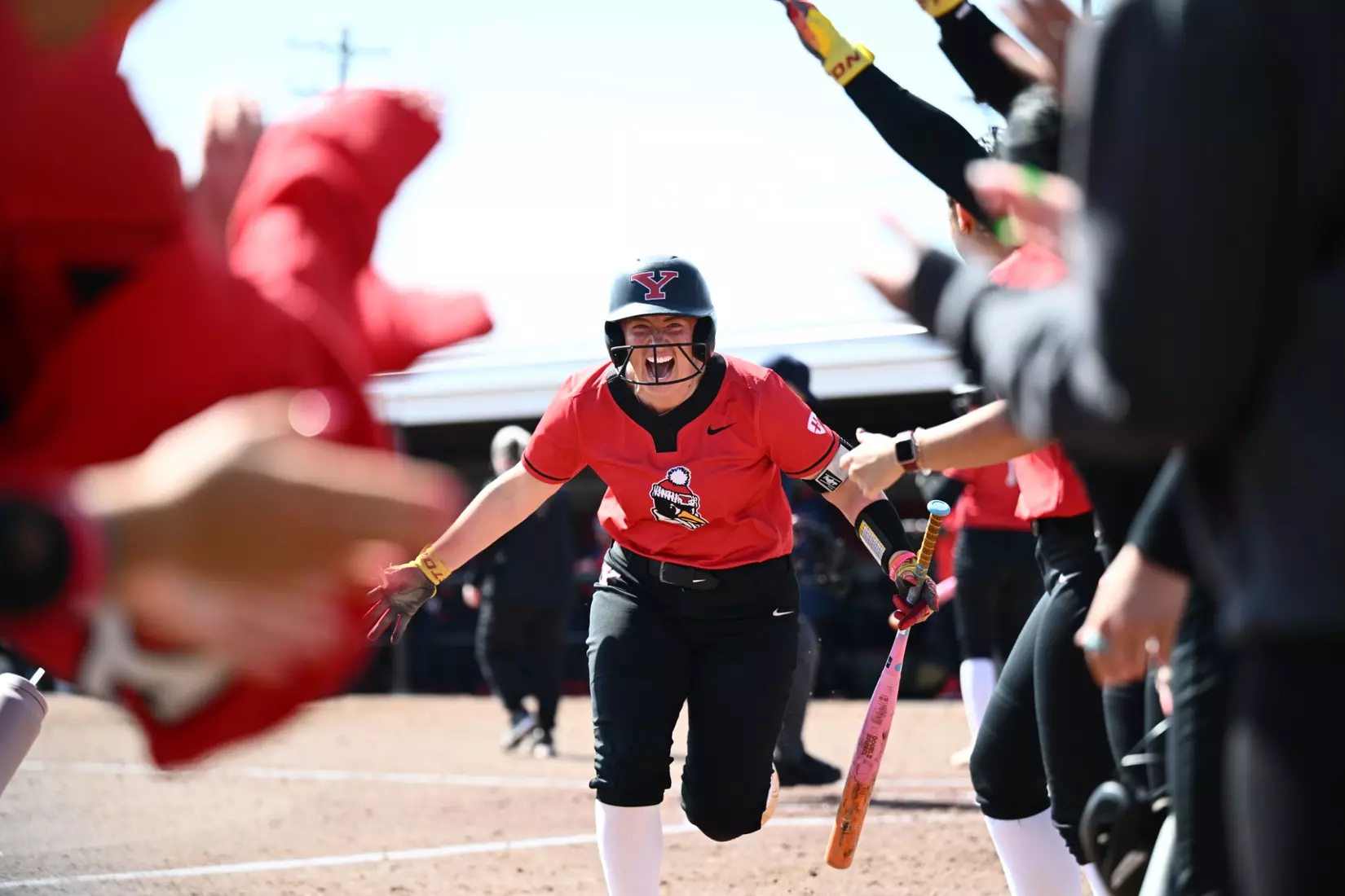 Softball - Dean Home Run Tunnel