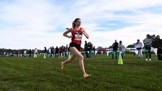 XCPreview