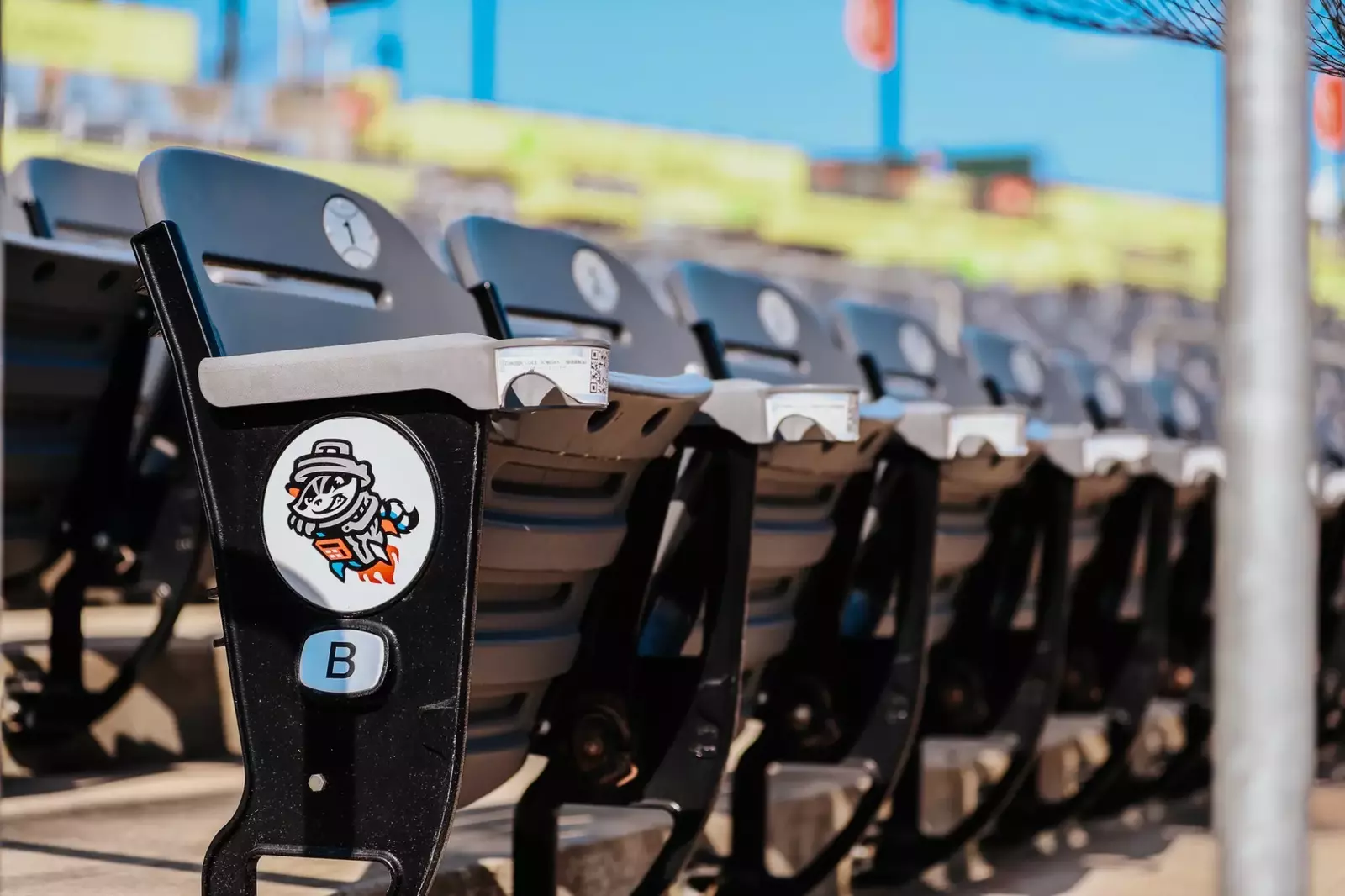 Baseball Announces 2025 SeasonOpening Series BVM Sports