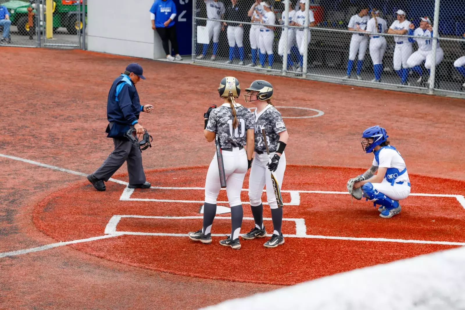Softball Set to Take on UAlbany BVM Sports