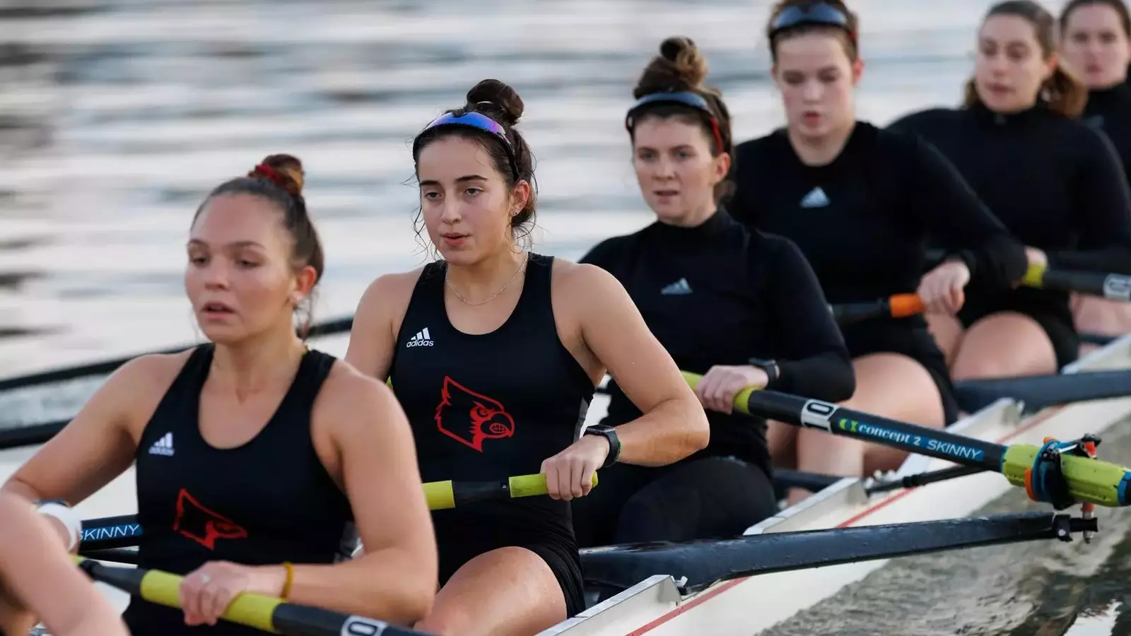 Cards Complete Head-to-Head with Michigan - University of Louisville ...